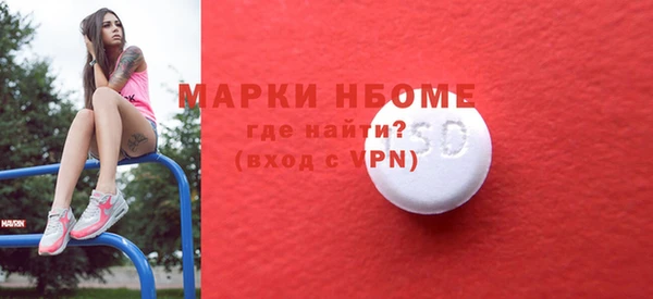 гидропоника Дмитриев