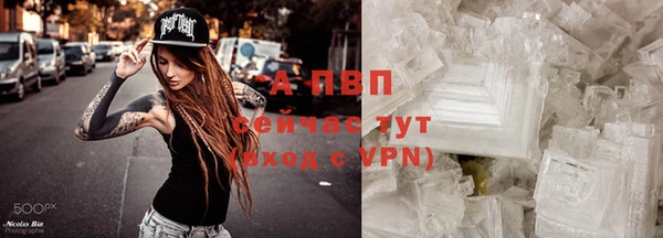 стафф Приозерск